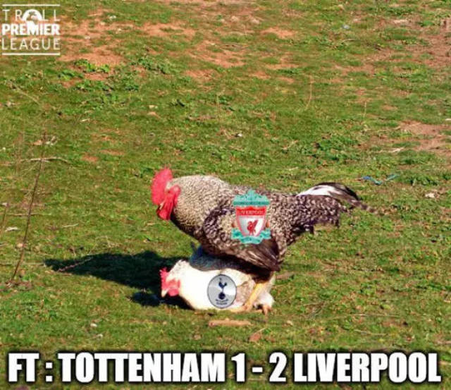 官方：国米前锋博尼当选意甲10月最佳新星（官宣：国米锋线小将博尼荣膺意甲10月最佳新秀）